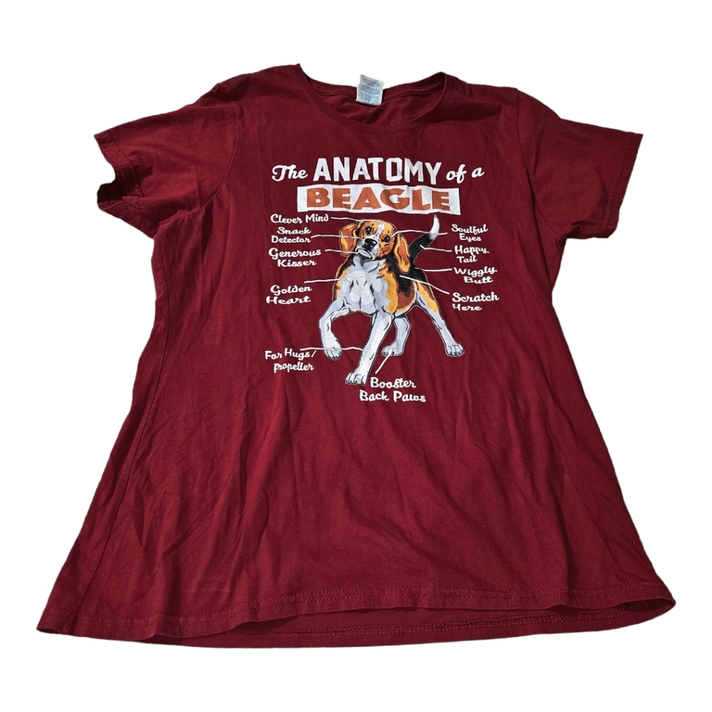 Beagle Anatomy of a beagle red shirt Large